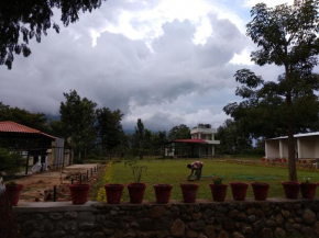  Singaras Coffee Country  Masinagudi